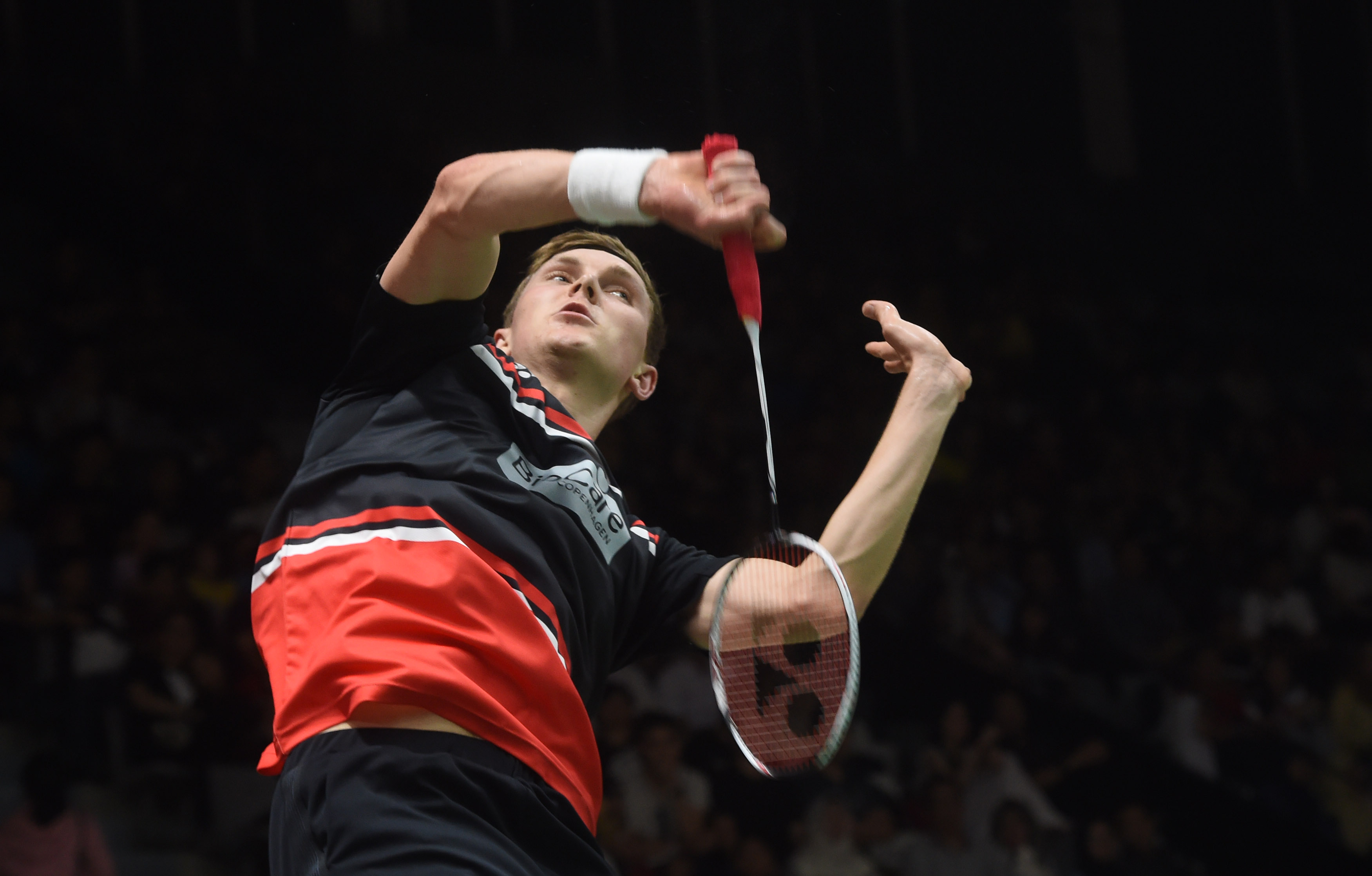 尼队在20 尼队在20